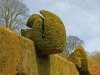 06_07_pinburytopiary