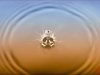 09_35_droplet-splash