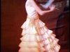 15_46_flamenco-in-white