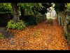 Gordon Hart_October_Landscape_Autumn Colour