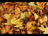 Gordon Hart_October_Technical_Autumn Leaves