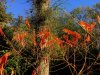 Peggy Howard_October_Landscape_Garden colour