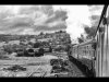 Carol Thorne_September_Landscape_The steam train