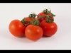 01_05_tomatoes