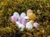 12_36_mini-egg-nest