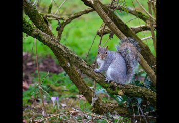 01_Open_You-Looking-At-Me_John-Spreadbury