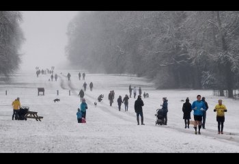 08_Open_A-snowy-day-in-the-park_Val-Thomas_3rd-place