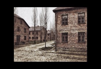 10_LJ_COLIN-HOSKINS_AUSCHWITZ