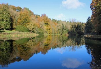 02_PIT_Carol-Thorne_The-Lake-in-Miserden-Park