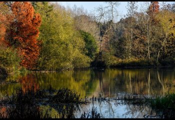 16_PIT_Peggy-Howard_Blenheim-Palace_Highly-Commended