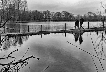 Flooded-River-Walk-Carol-Thorne-