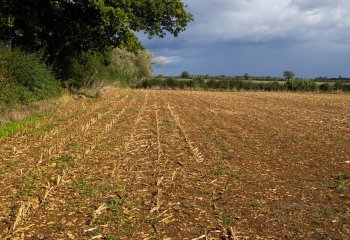 Autumn Field near Fairford Gordon Hart