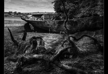 HIGHLY-COMMENDED_Shipwreck-Seaweed-and-Shingle_Martyn-Smith