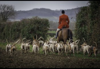 HIGHLY-COMMENDED_Trail-Hunting-in-Broadway_Gary-Gleghorn