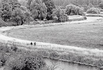 Meandering_Steve-Kirby