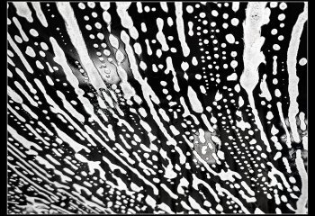 At-The-Car-Wash_Brian-Champion
