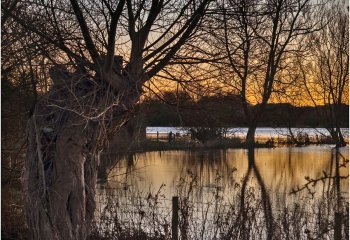 Commended_Dusk-North-Meadow_John-Crew-LRPS