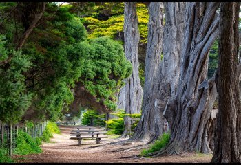 All-Quiet-on-Cypress-Avenue-Billy-Kerr