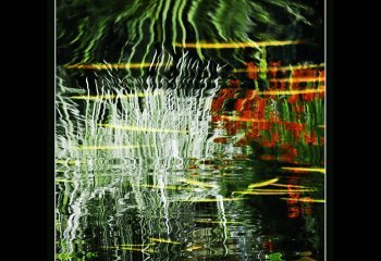 Goldfish-Gladioli-Brian-Champion