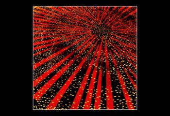 Sunburst-Brian-Champion