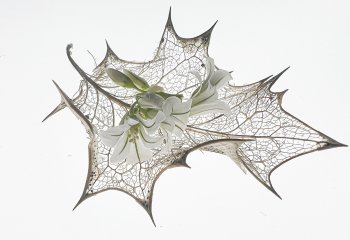 60-COMMENDED-Leaf-Skeleton-with-Flowers-Peggy-Howard-