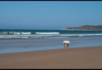 Beach-Walk_Lawrence-Wilcock