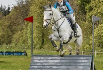 In-Perfect-Sync_David-Wallis In-Perfect-Sync_David-Wallis