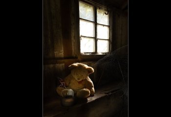 Sad-Ted-in-his-shed_Martyn-Smith Sad-Ted-in-his-shed_Martyn-Smith