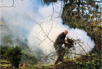 The-winter-bonfire._CAROL-THORNE The-winter-bonfire._CAROL-THORNE