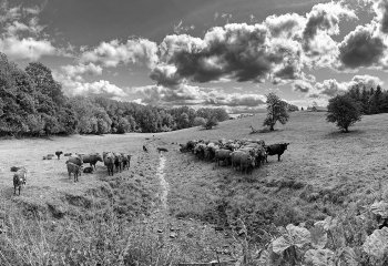 Them-and-Us_Mike-Cheeseman-LRPS Them-and-Us_Mike-Cheeseman-LRPS