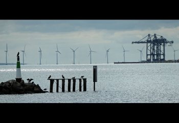 WingedMessengers_paul-jones WingedMessengers_paul-jones