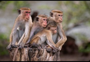 eyes-left_Billy-Kerr eyes-left_Billy-Kerr