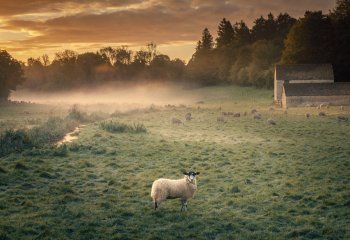 Commended_Dawn-Sentinel_Gary-Gleghorn