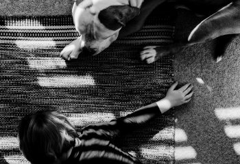 Commended_Stillness-Shared_Mike-Cheeseman-LRPS Commended_Stillness-Shared_Mike-Cheeseman-LRPS