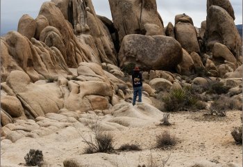 Wandering-Among-Giants_Fin-Simpson Wandering-Among-Giants_Fin-Simpson