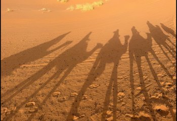 Commended_Shadows-In-The-Desert_Daphne-Neale
