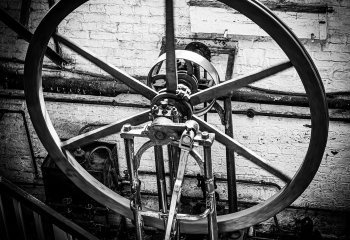 Driven_David-Wallis