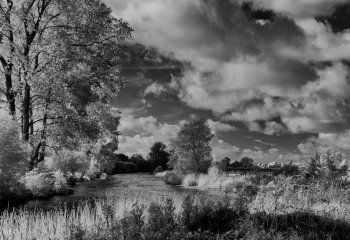 Cloudy Thames day Bob Berry