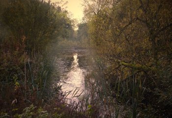 Autumn Morning reflections Andy Kennedy