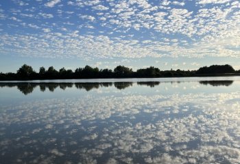 Cumulus-Clouds Daphne Neale