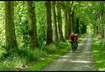French-Cyclists-Mandi-Horwood