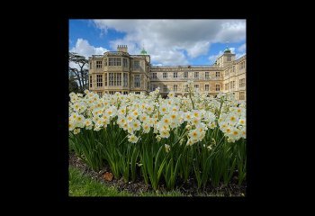 Audley-End-Flowers-DPI_Victoria-OKeeffe