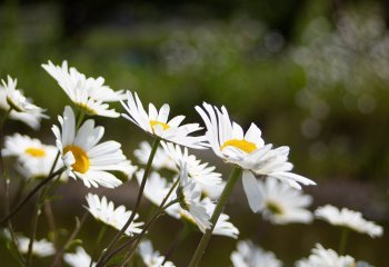 Sunseekers_Deborah-Clarke