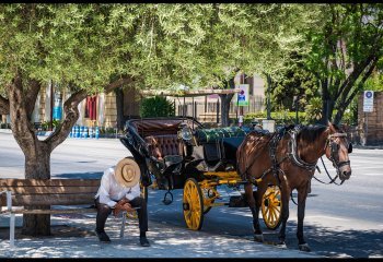 COMMENDED Spanish Street Nigel Rogers