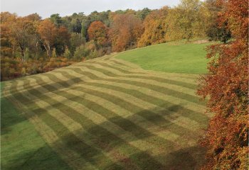 Stripes-and-Shadows-Carol-Thorne