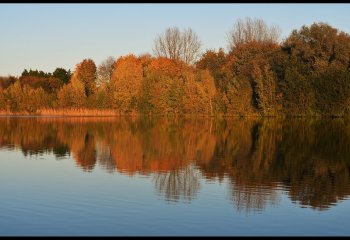 Autumn-Reflections-Daphne-Neale