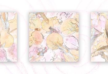 Commended_Bulb-Fiction_Mike-Cheeseman-LRPS