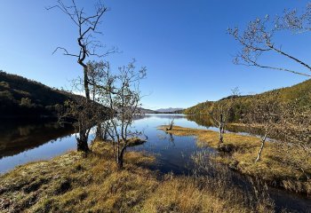 All-Quiet-on-the-West-Highland_Katrina-Ellor