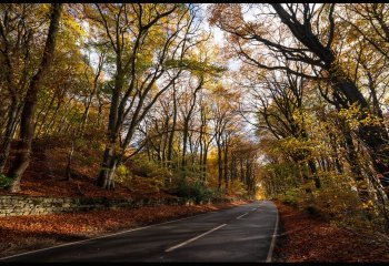Road_to_Painswick_Rob-Gorthy