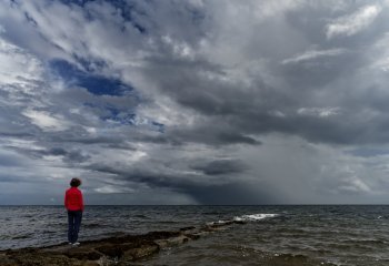 Watching the storm Roger Armitage